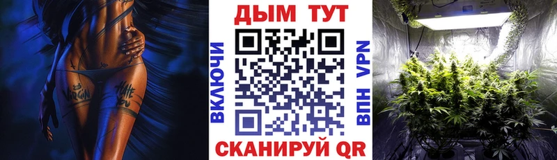 где продают наркотики  Устюжна  Конопля LSD WEED 